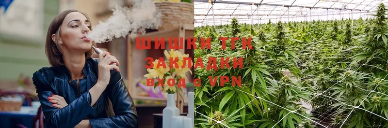 Бошки Шишки OG Kush  Тара 